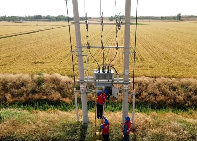 配電箱助力“電力?！报D農(nóng)民有了“電力?！碑a(chǎn)業(yè)發(fā)展質(zhì)效