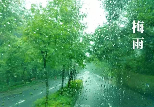 梅雨季節(jié)，如何解決配電箱回潮？給你支招